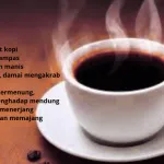 15 Puisi Terbak Karya Nasarius Fidin