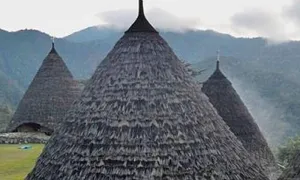 Strategi Petani Satarmese Barat Mendukung Kebutuhan Objek Wisata Waerebo